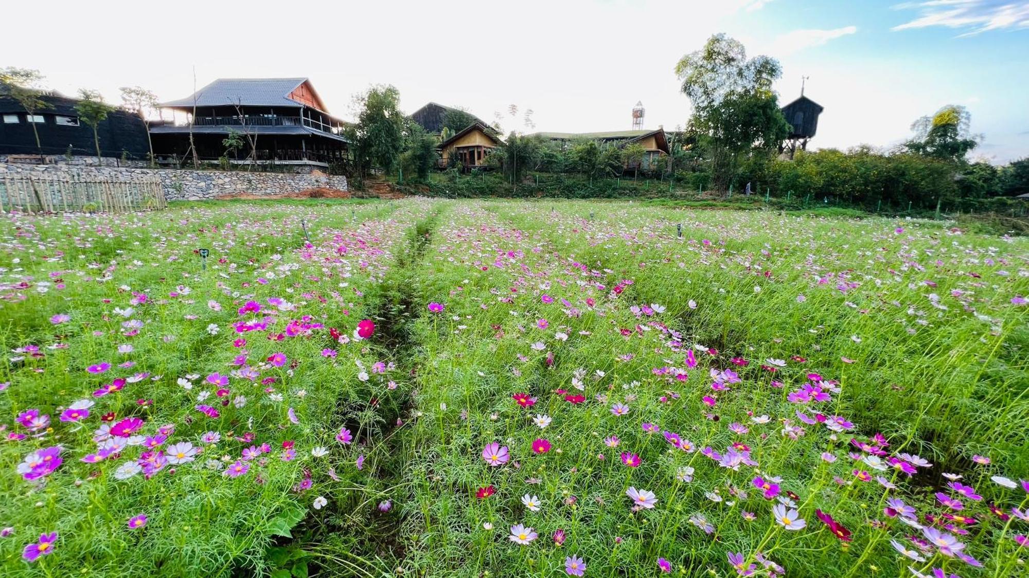 Satoyama Village Luong Son  Екстер'єр фото